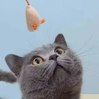Catnip Mouse Plush Toy Set for Cats – Pack of 3