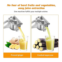 Stainless Steel Hand Press Juicer Machine | Heavy Duty Manual Fruit & Lemon Squeezer